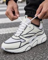 Dior B22